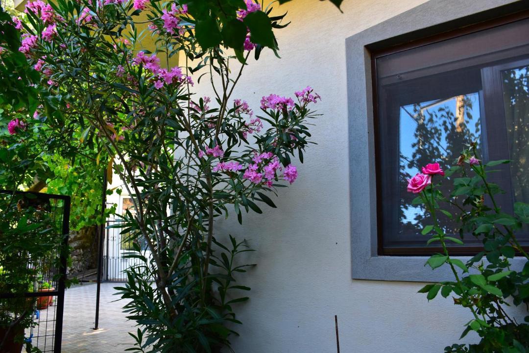 Photo of Others in Samothrace