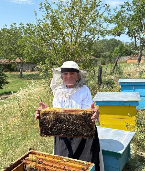 Photo of Others in Sakës