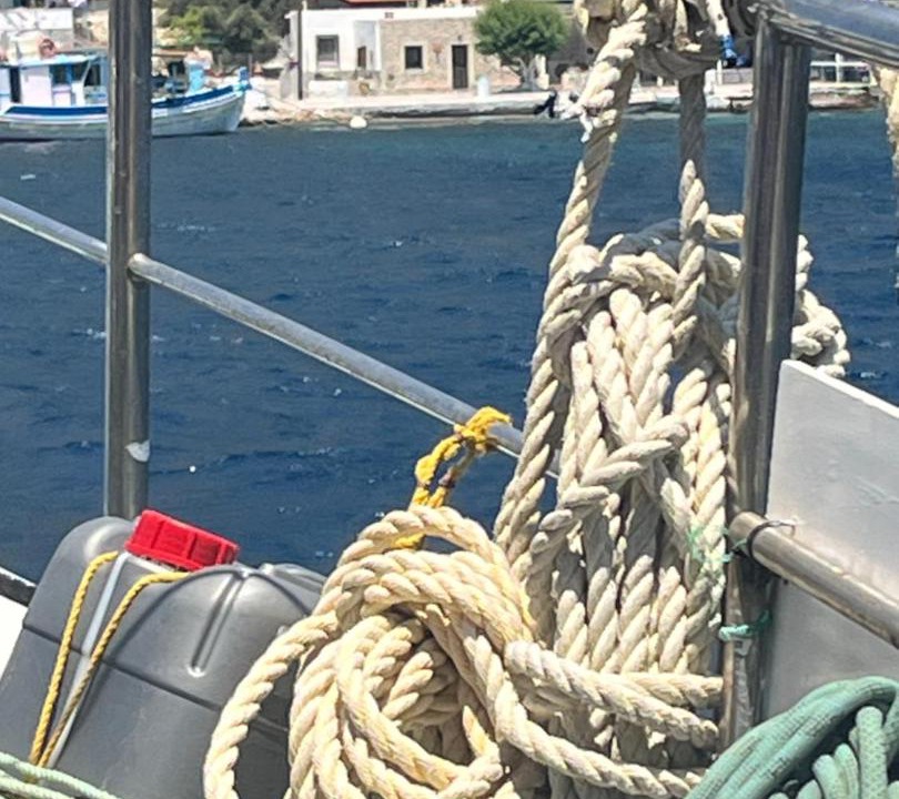 Photo of Others in Telendos