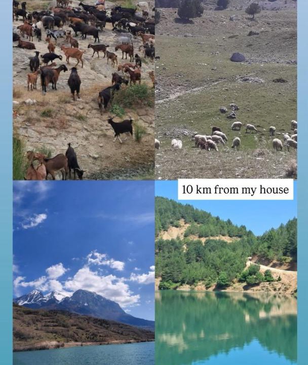 Photo of Others in Berat