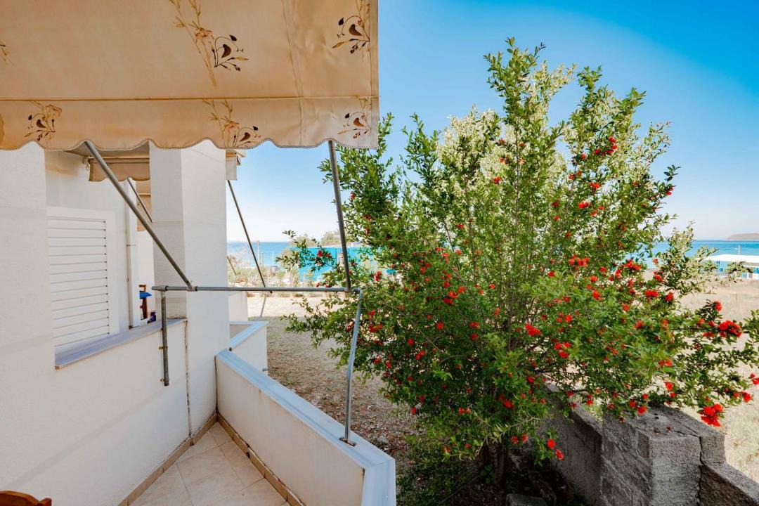 Photo of Patio Balcony in Qazim Pali