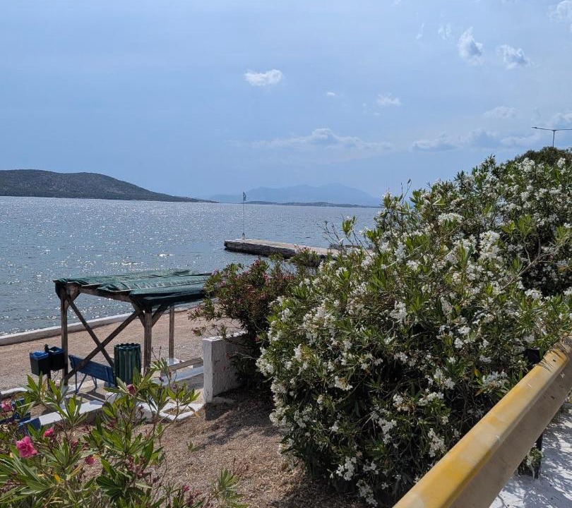 Photo of Others in Salamis