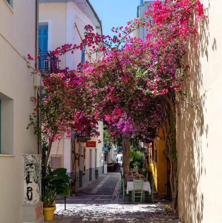Photo of Others in Nafplion City Centre