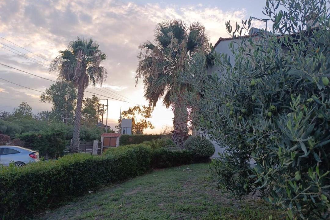 Photo of Others in Afytos