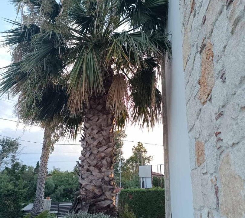 Photo of Others in Afytos