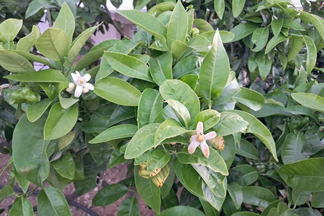 Photo of Outdoor in Athikia