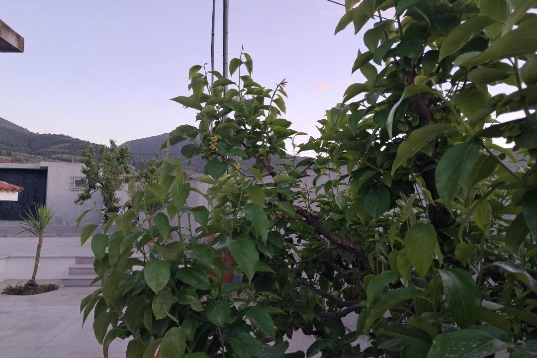 Photo of Outdoor in Athikia