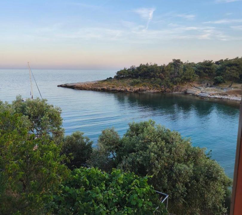 Photo of Others in Aliki