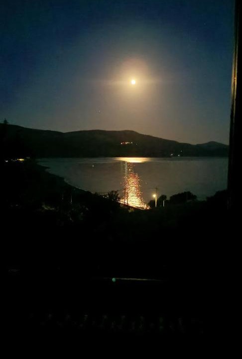 Photo of Others in Volissos