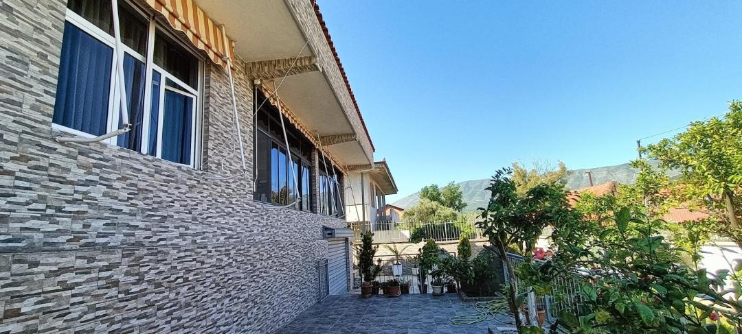 Photo of Others in Berat