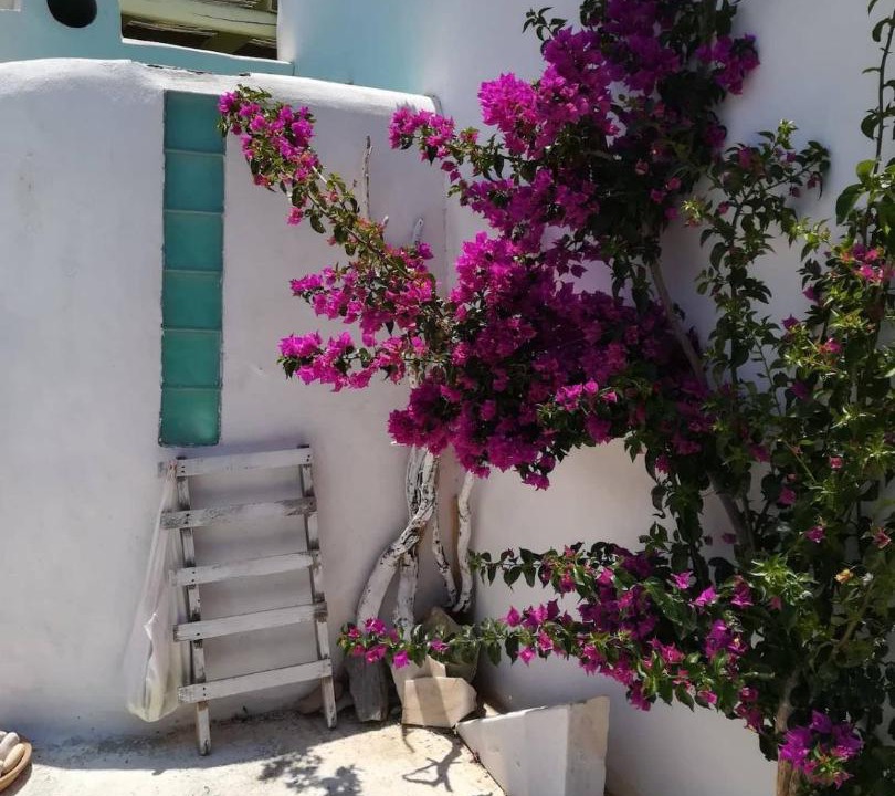 Photo of Others in Paros