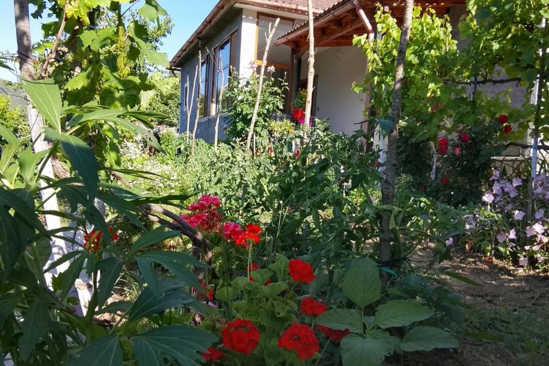 Photo of Others in Sinje