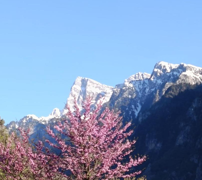 Photo of Others in Konitsa