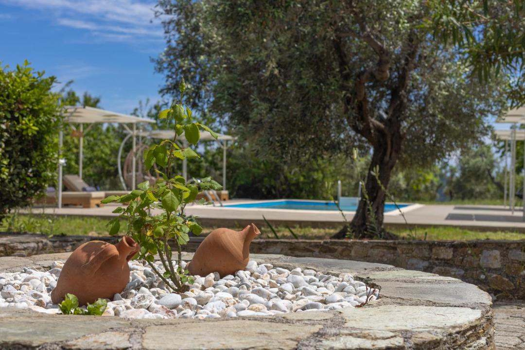 Photo of Others in Skopelos Town