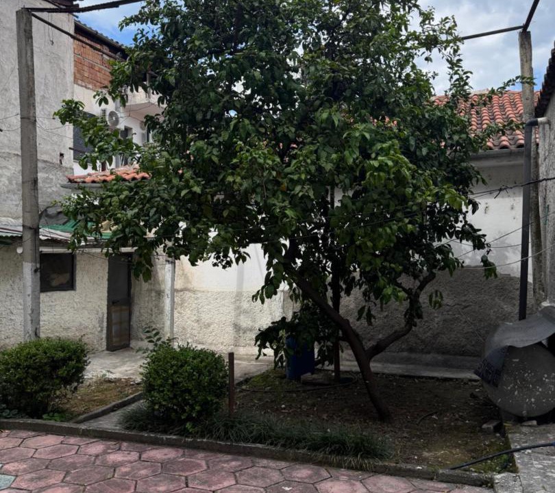 Photo of Others in Tirana