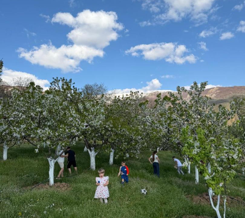 Photo of Others in Diber