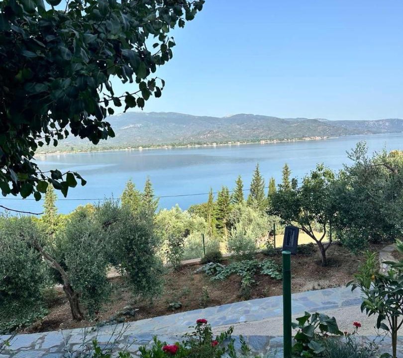 Photo of Others in Mytilene