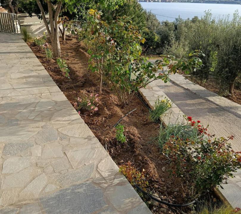 Photo of Others in Mytilene