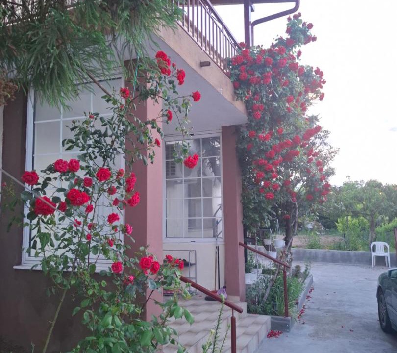 Photo of Others in Pangaio