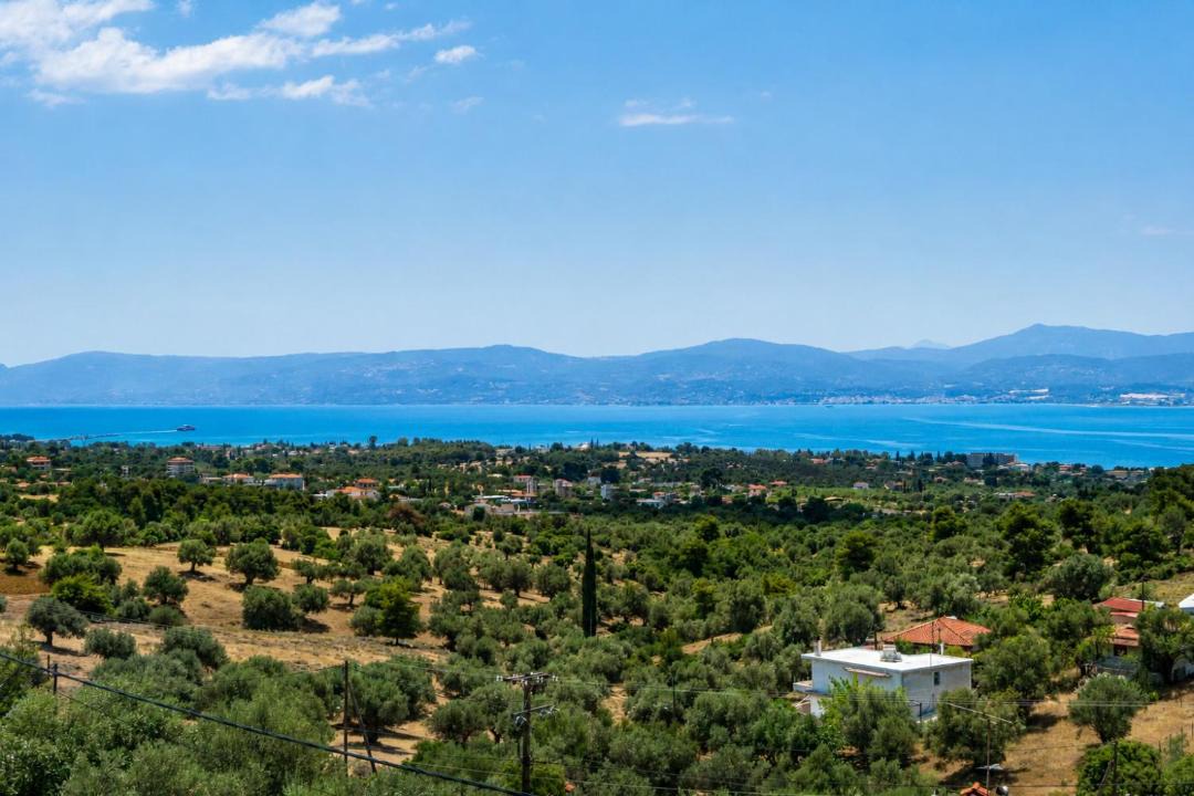 Photo of Others in Eretria