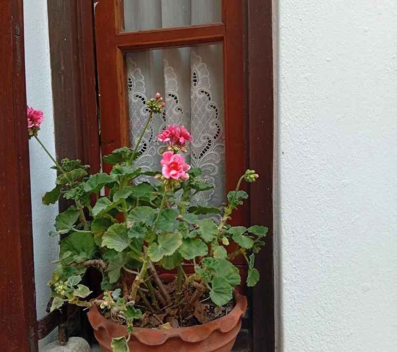 Photo of Others in Agios Ioannis