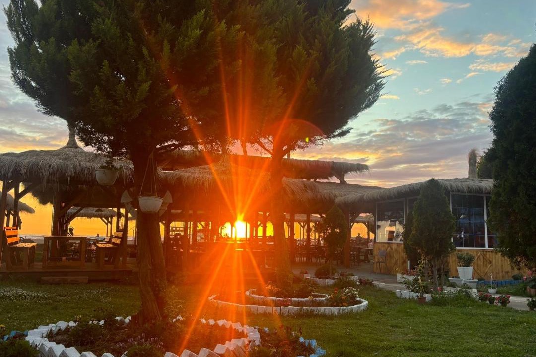 Photo of Others in Sakës