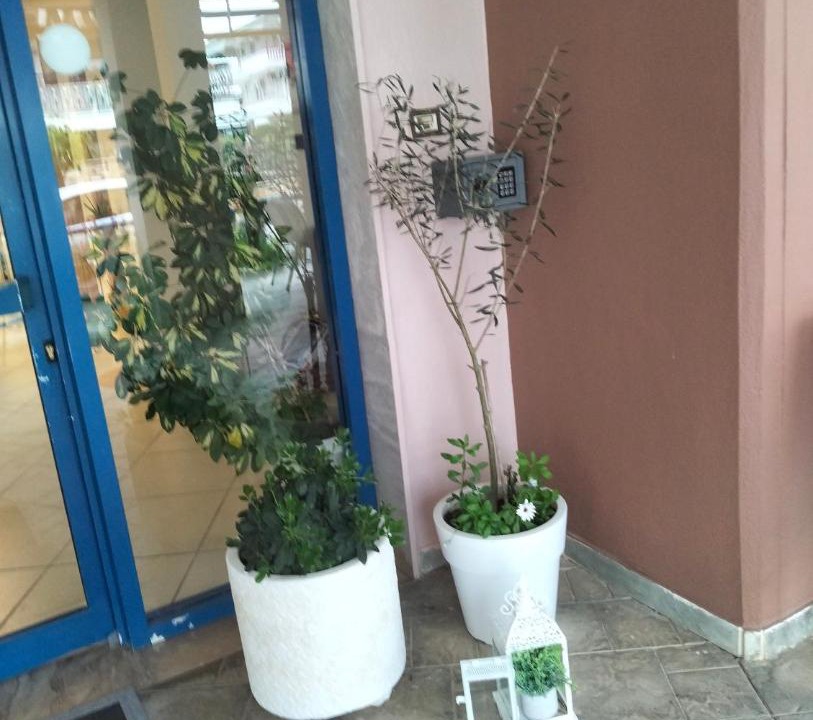 Photo of Others in Paralia Dionysiou