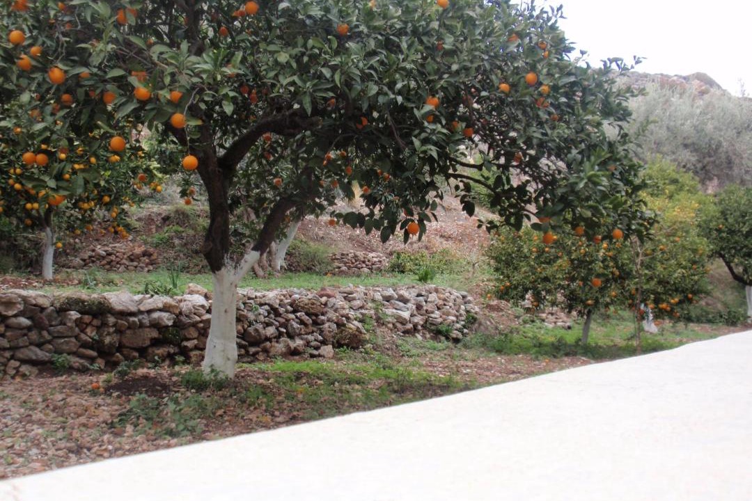 Photo of Others in Stegna