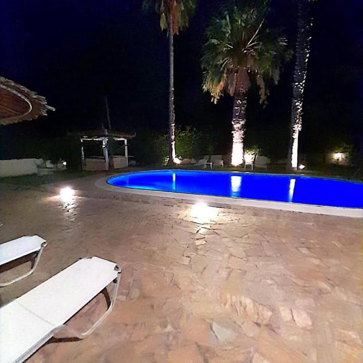 Photo of Others in Saronikos
