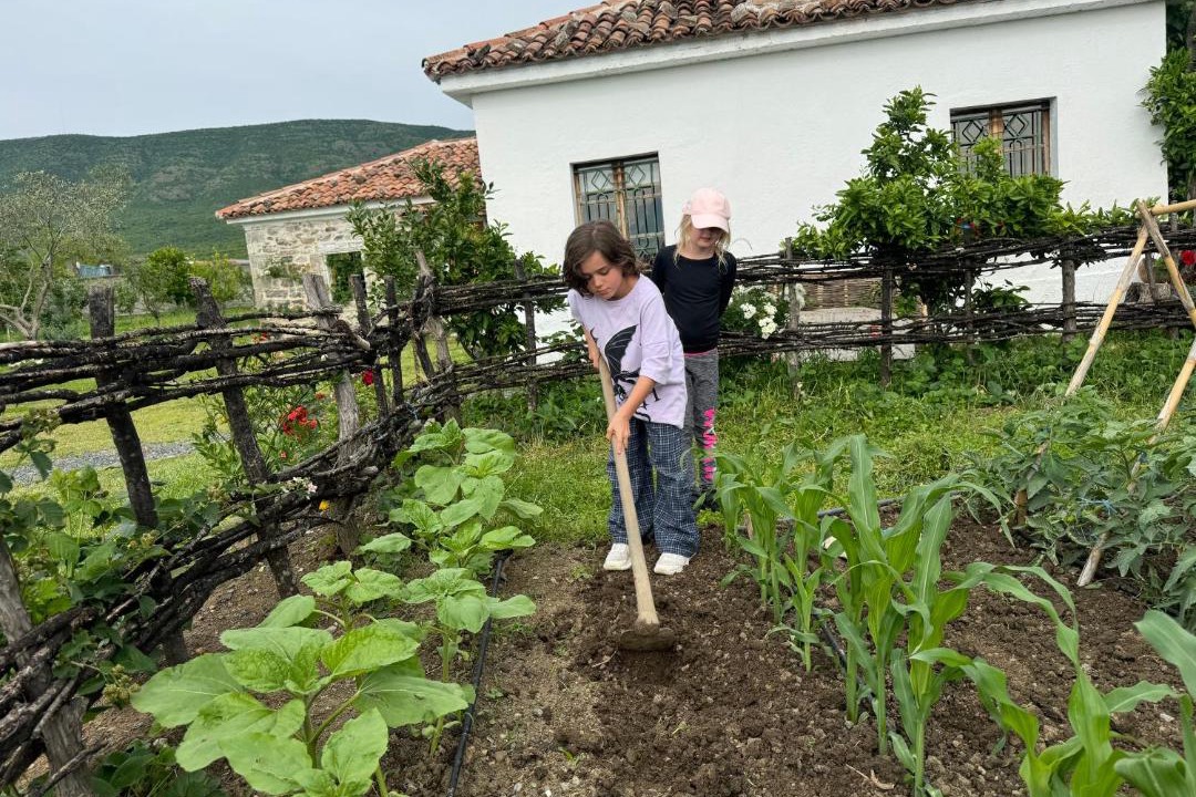 Photo of Others in Sakës