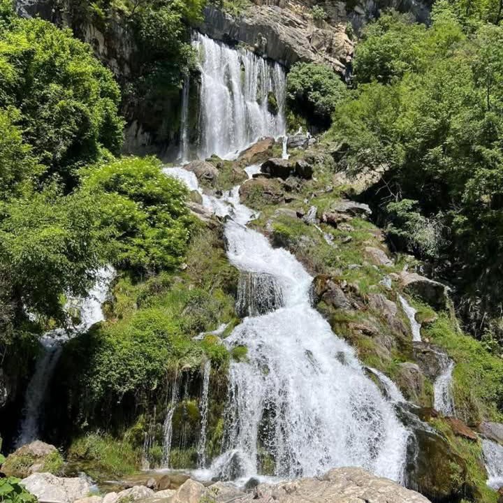 Photo of Others in Berat