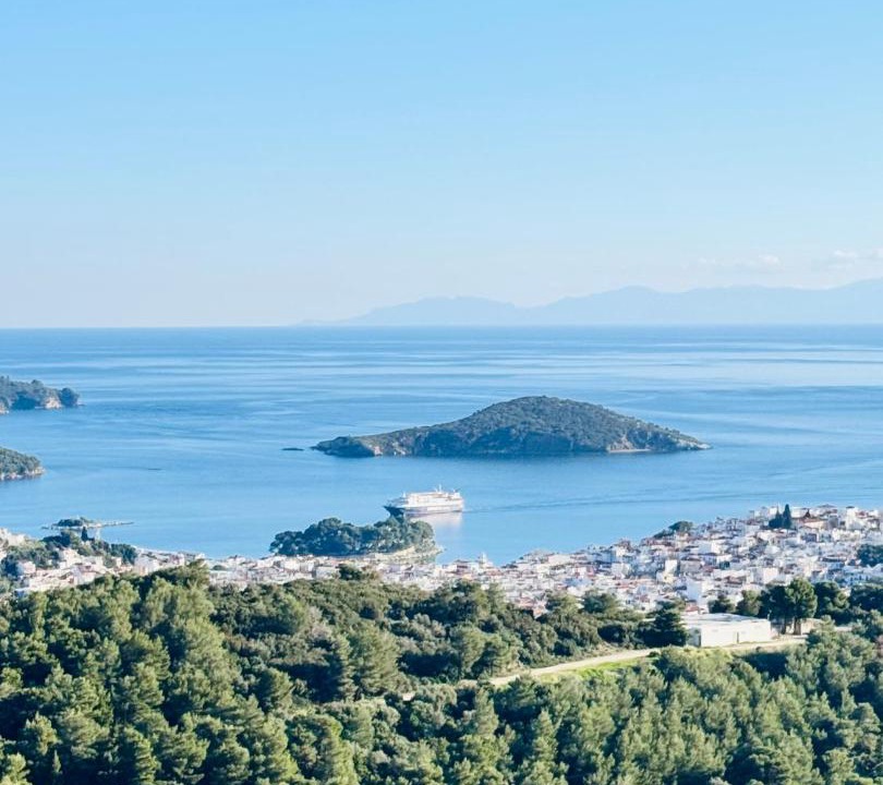 Photo of Others in Skiathos Town