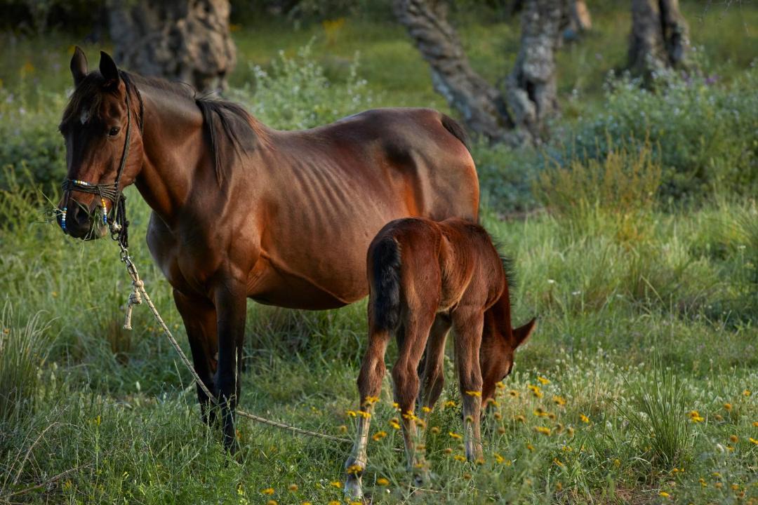 Photo of Others in Vasilikos