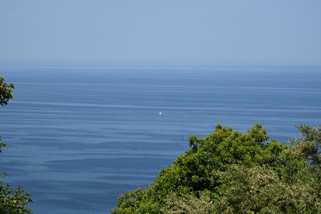 Photo of Others in Tsagarada