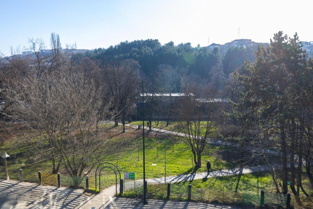 Photo of Others in Kolovicë