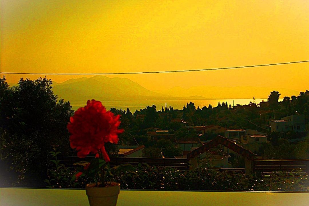 Photo of Others in Evia