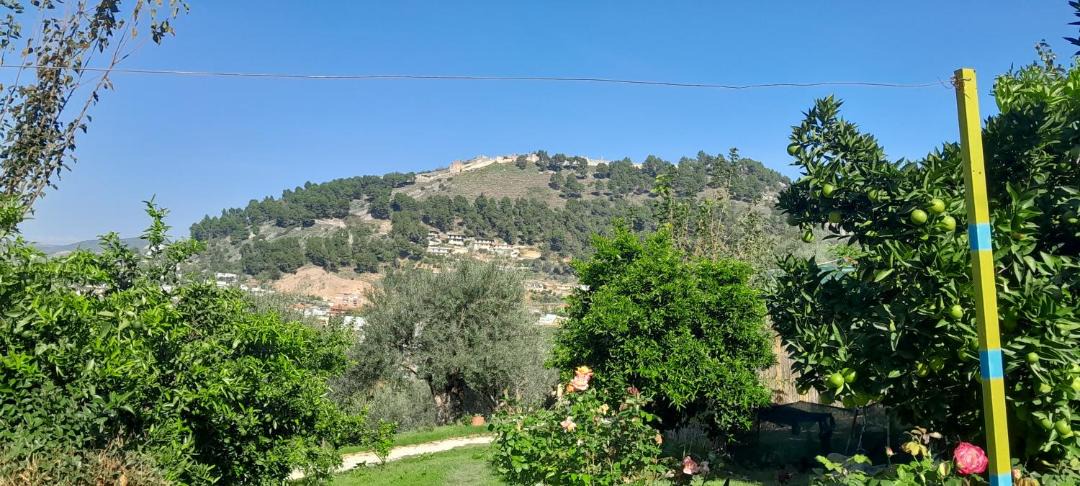 Photo of Others in Berat