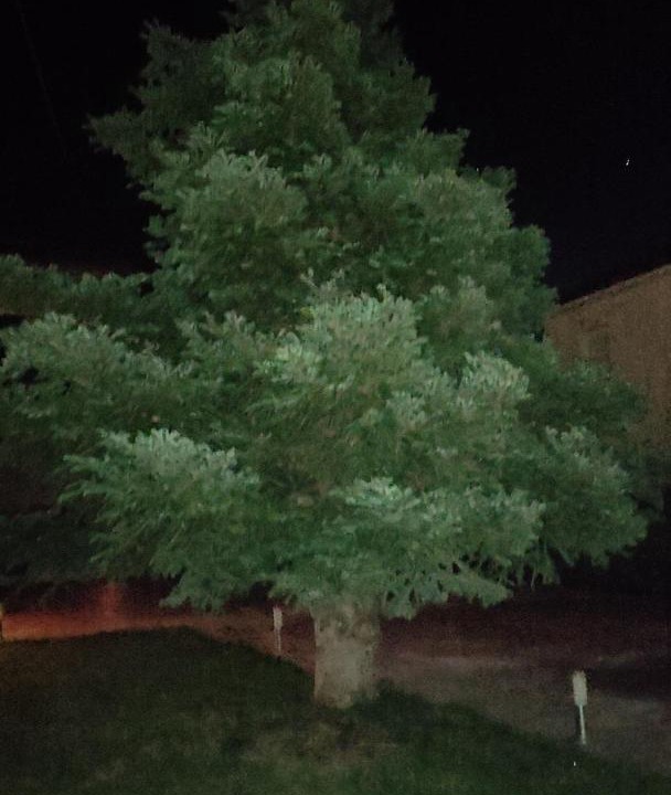 Photo of Outdoor in Nemea