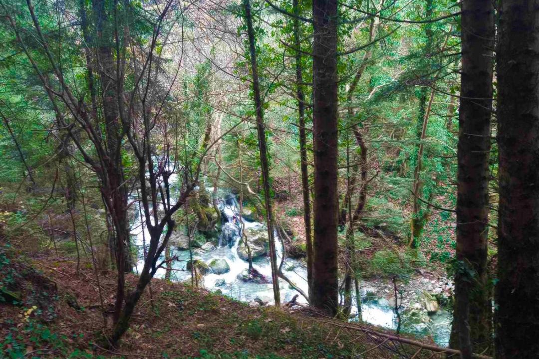 Photo of Others in Vourgareli