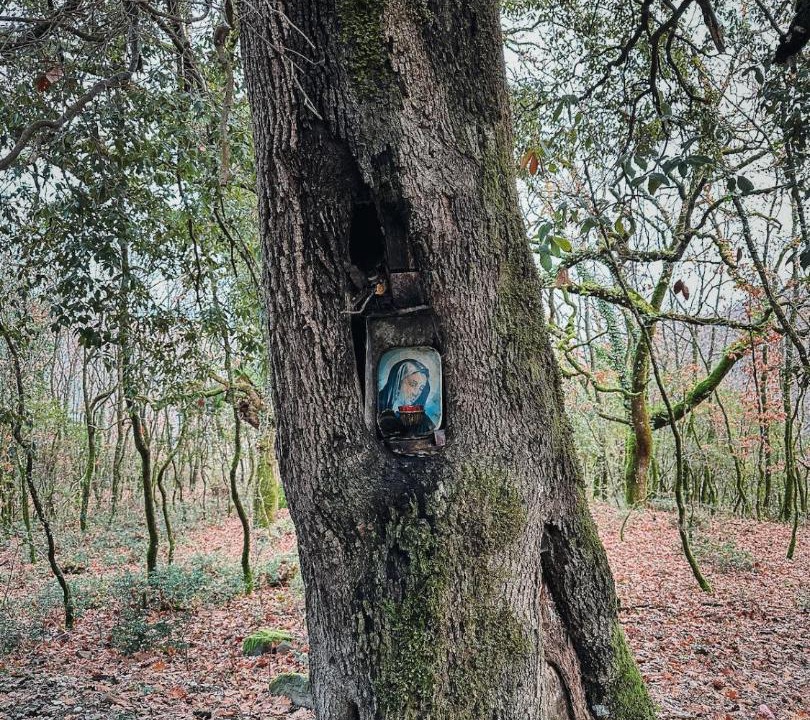 Photo of Others in Karpenisi