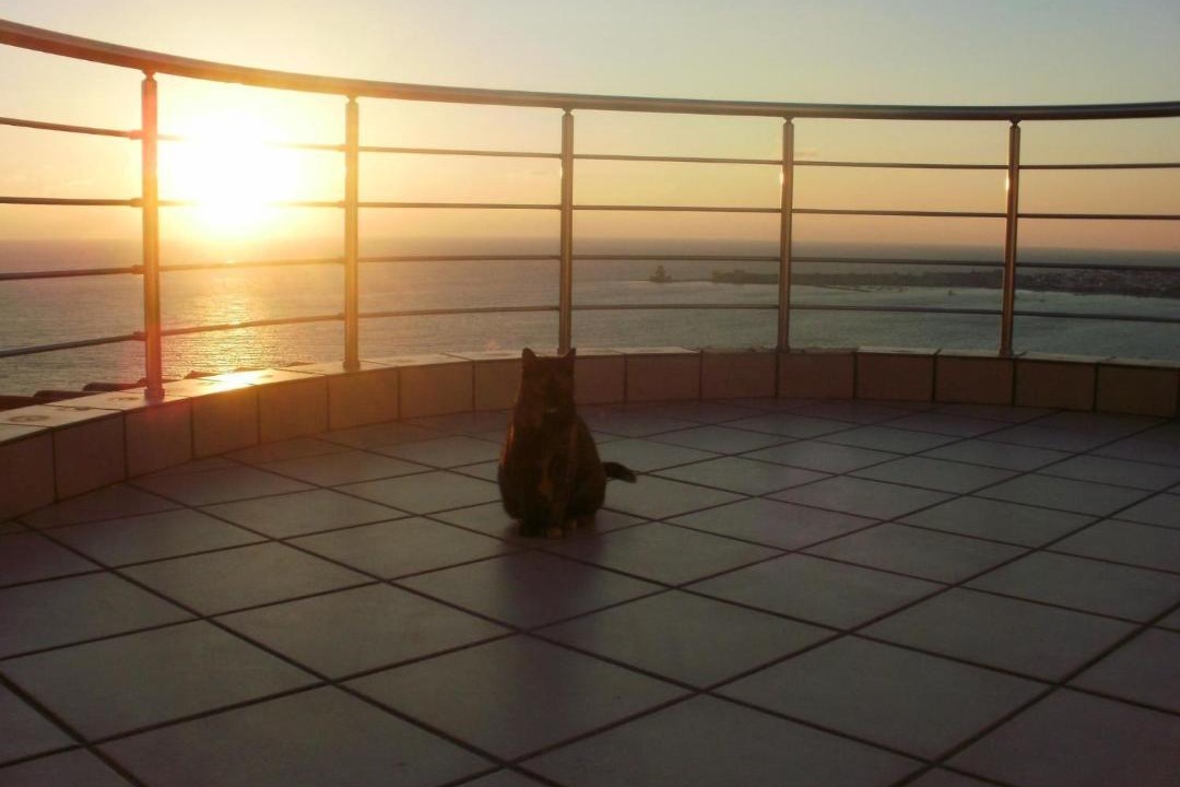 Photo of Patio Balcony in Pylos-Nestoras