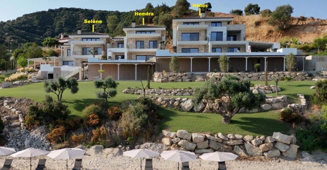Photo of Others in Aristotelis