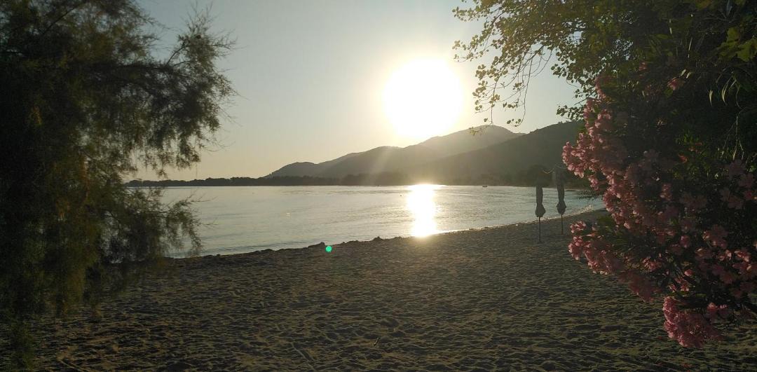 Photo of Others in Skala Prinou