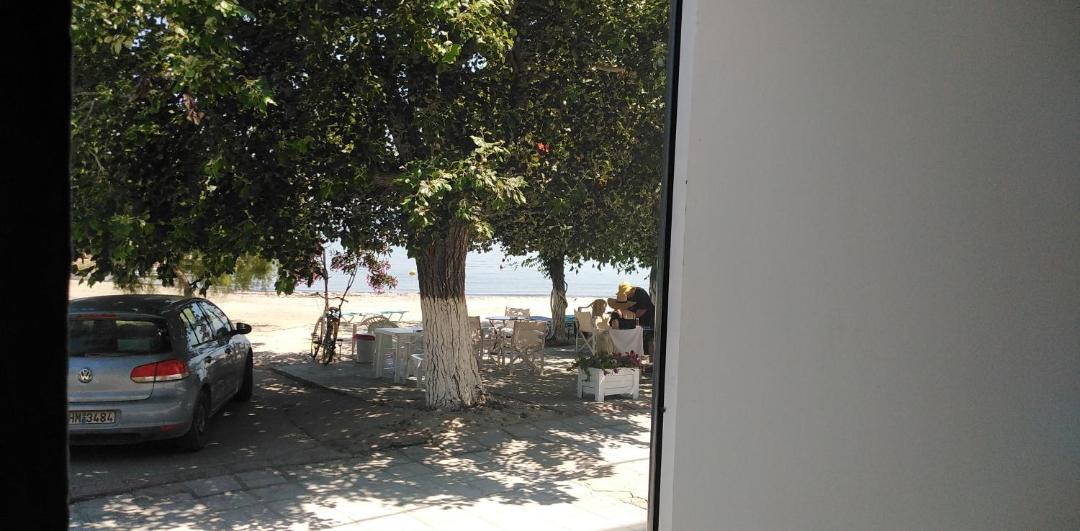 Photo of Others in Skala Prinou