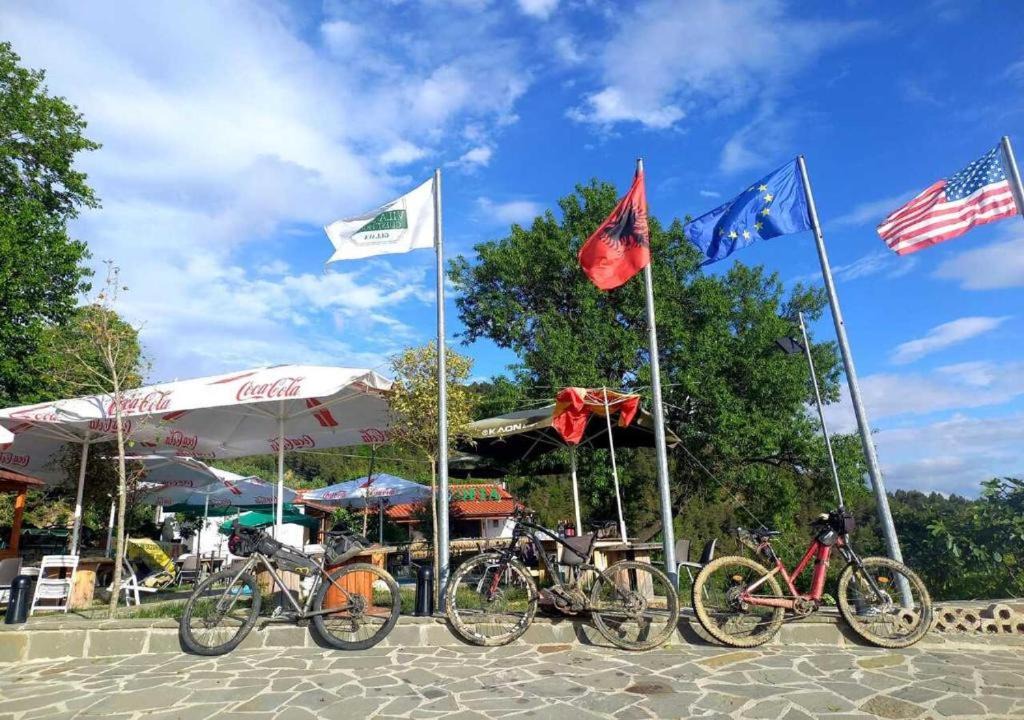Photo of Others in Sinje