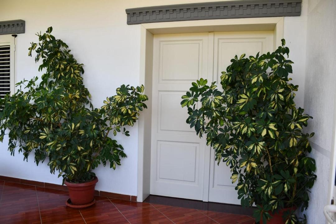 Photo of Others in Sakës