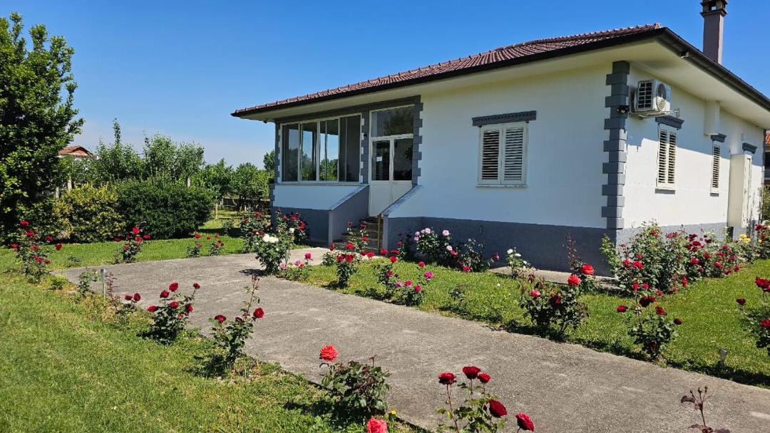 Photo of Others in Sakës