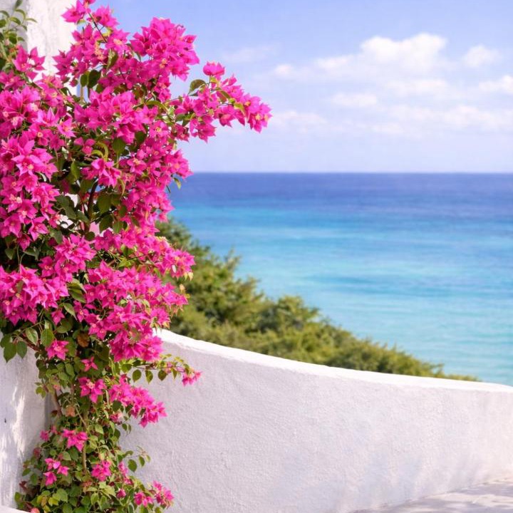 Photo of Others in Kallithea