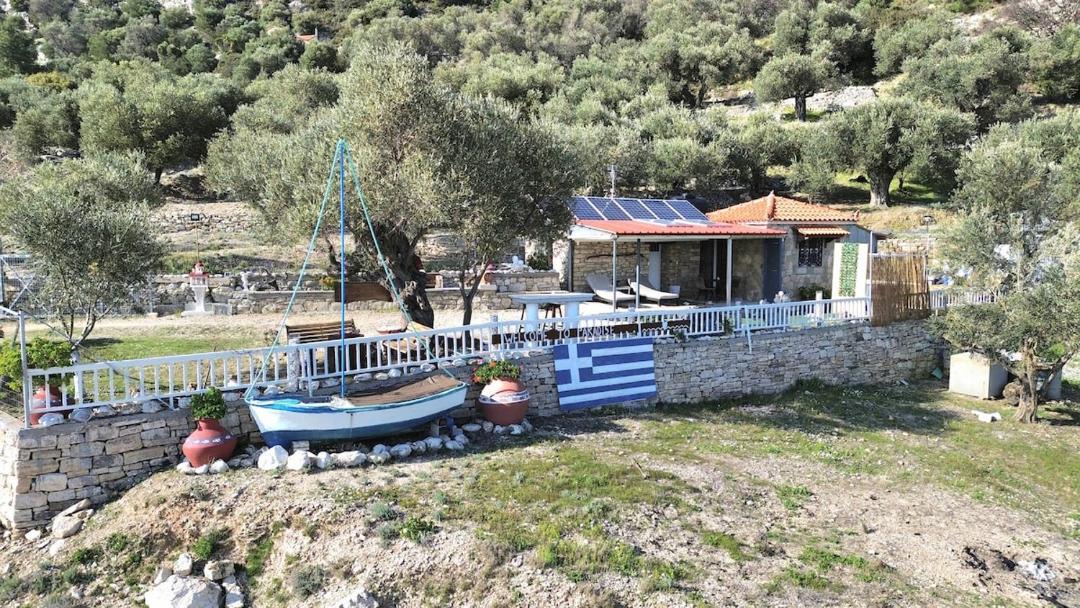 Photo of Others in Pythagorio