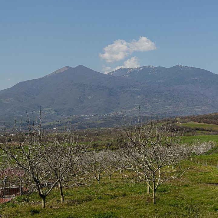 Photo of Others in Katerini